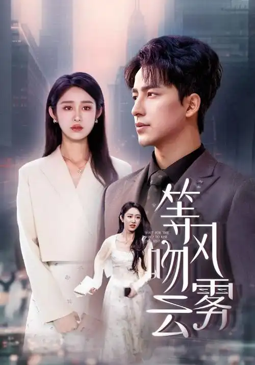 电视剧：暗夜追踪